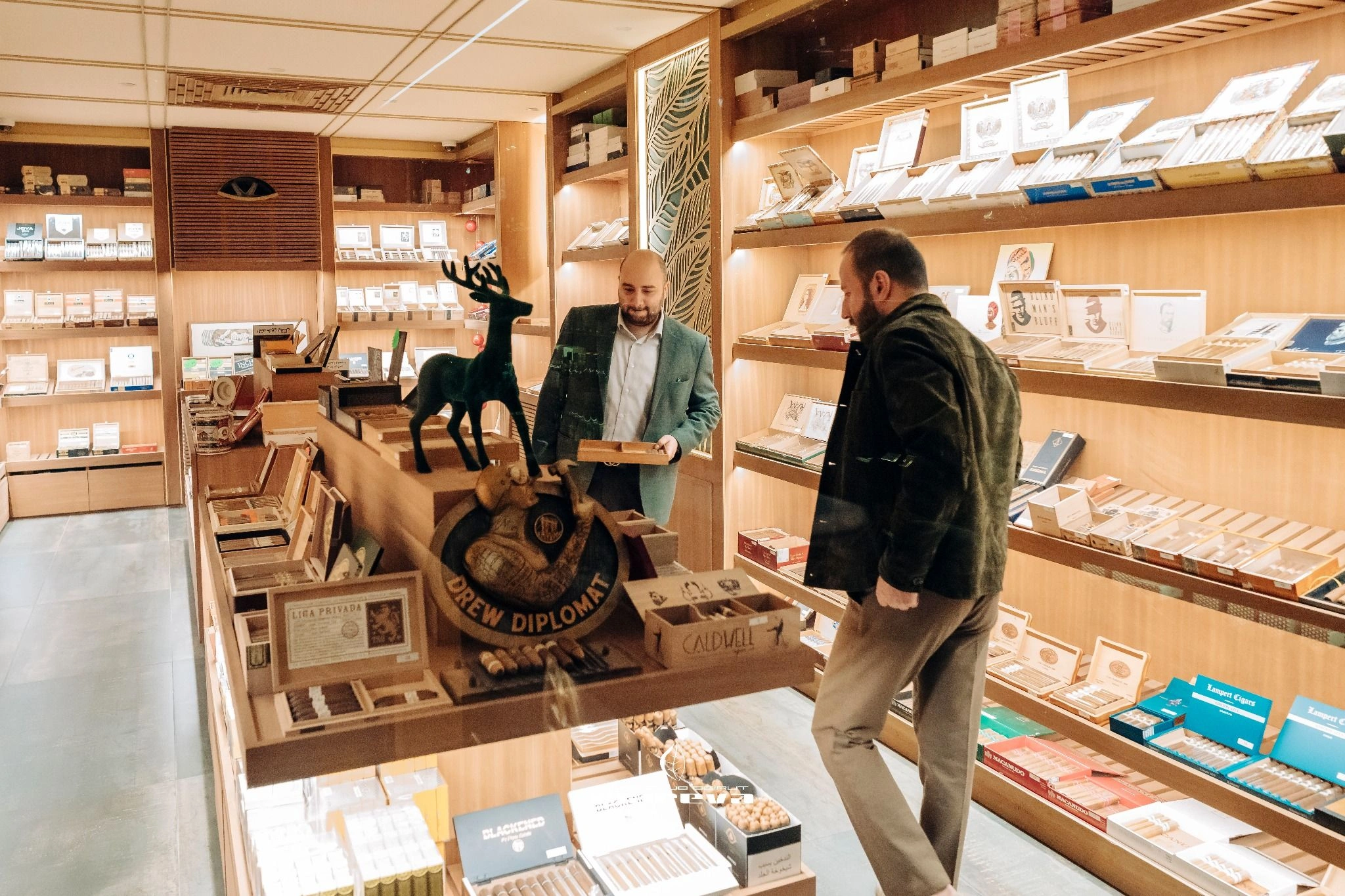 A Year End Macallan Evening at Club Mareva Beirut - Image 15