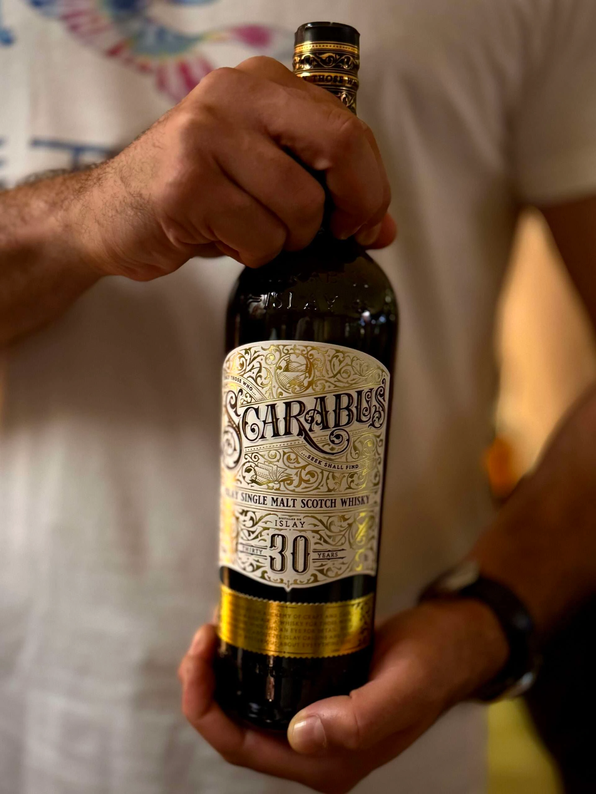 A Memorable Night with Scarabus - Image 7