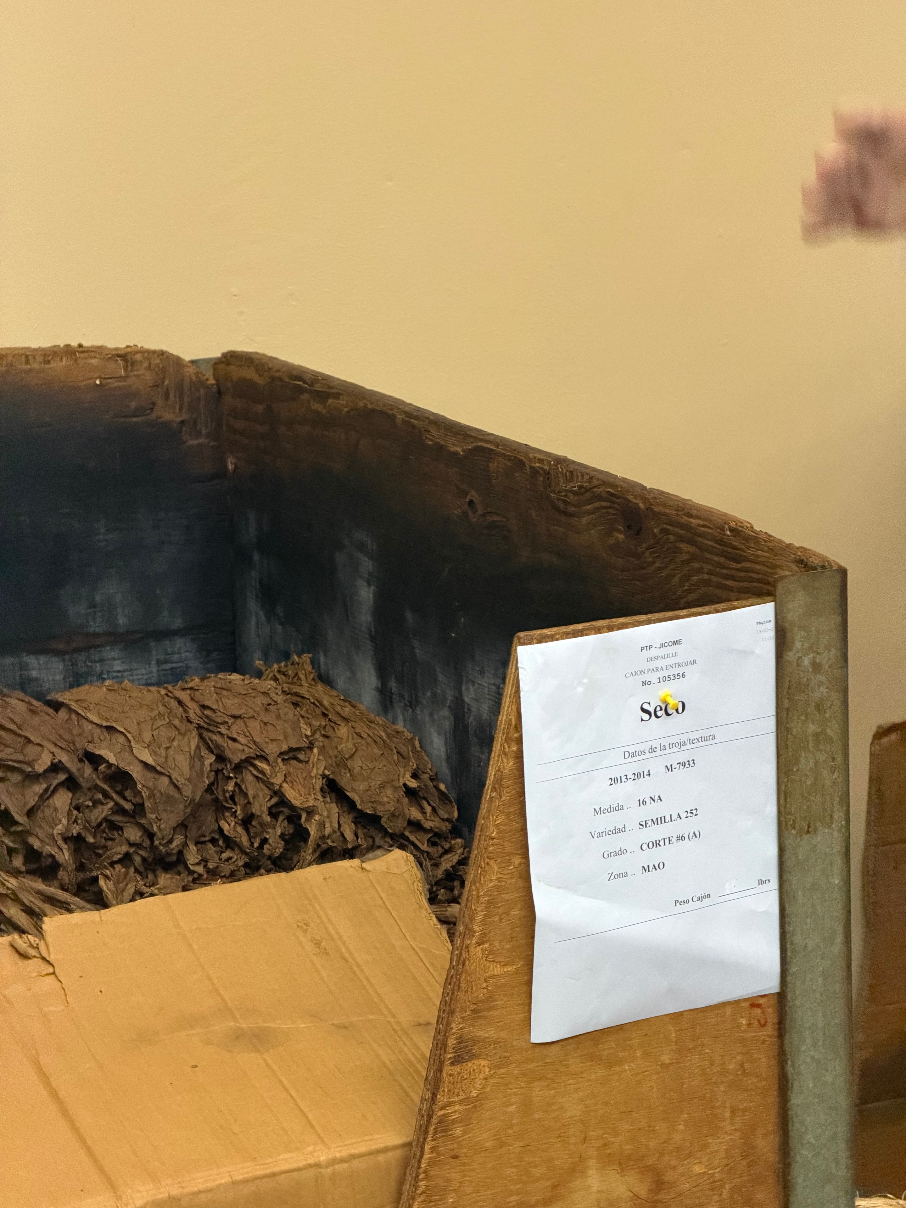 Davidoff Plantation Visit in Villa Clara | ProCigar 2026 - Image 2