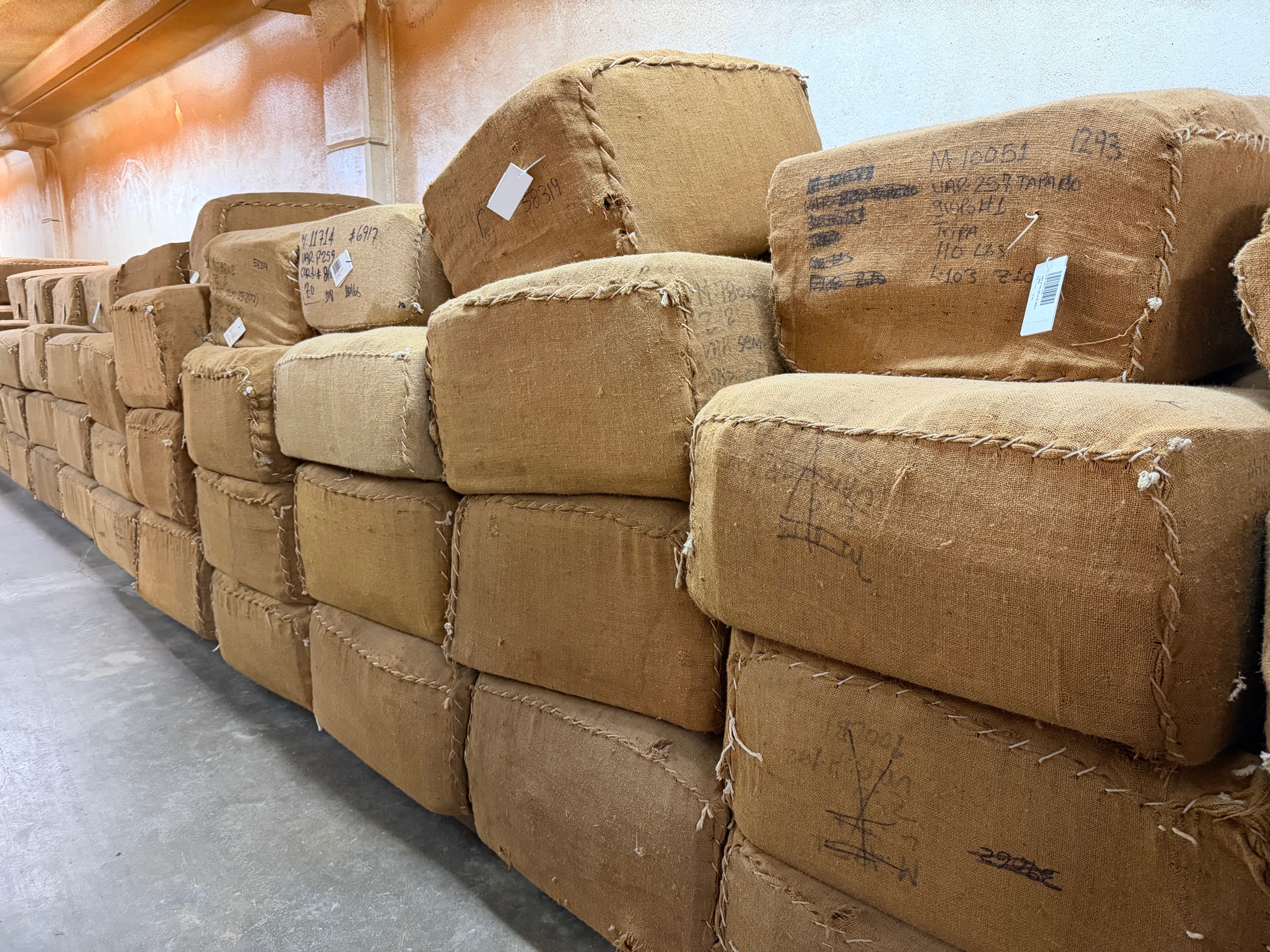 Davidoff Plantation Visit in Villa Clara | ProCigar 2026 - Image 29