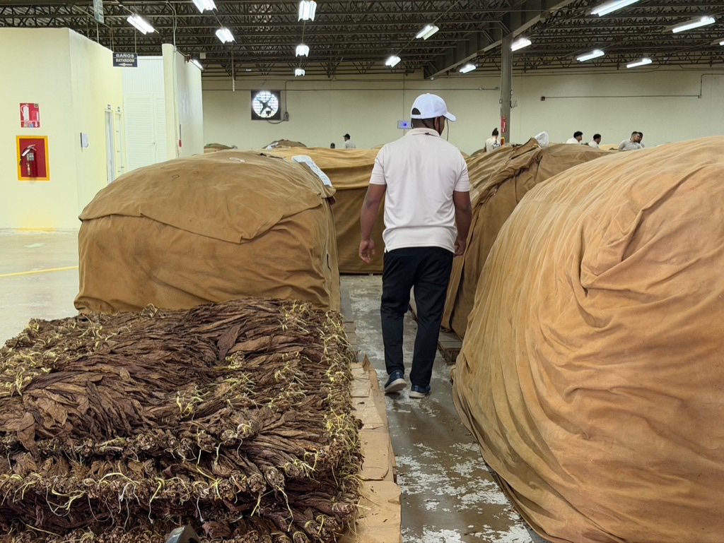 Davidoff Plantation Visit in Villa Clara | ProCigar 2026 - Image 30