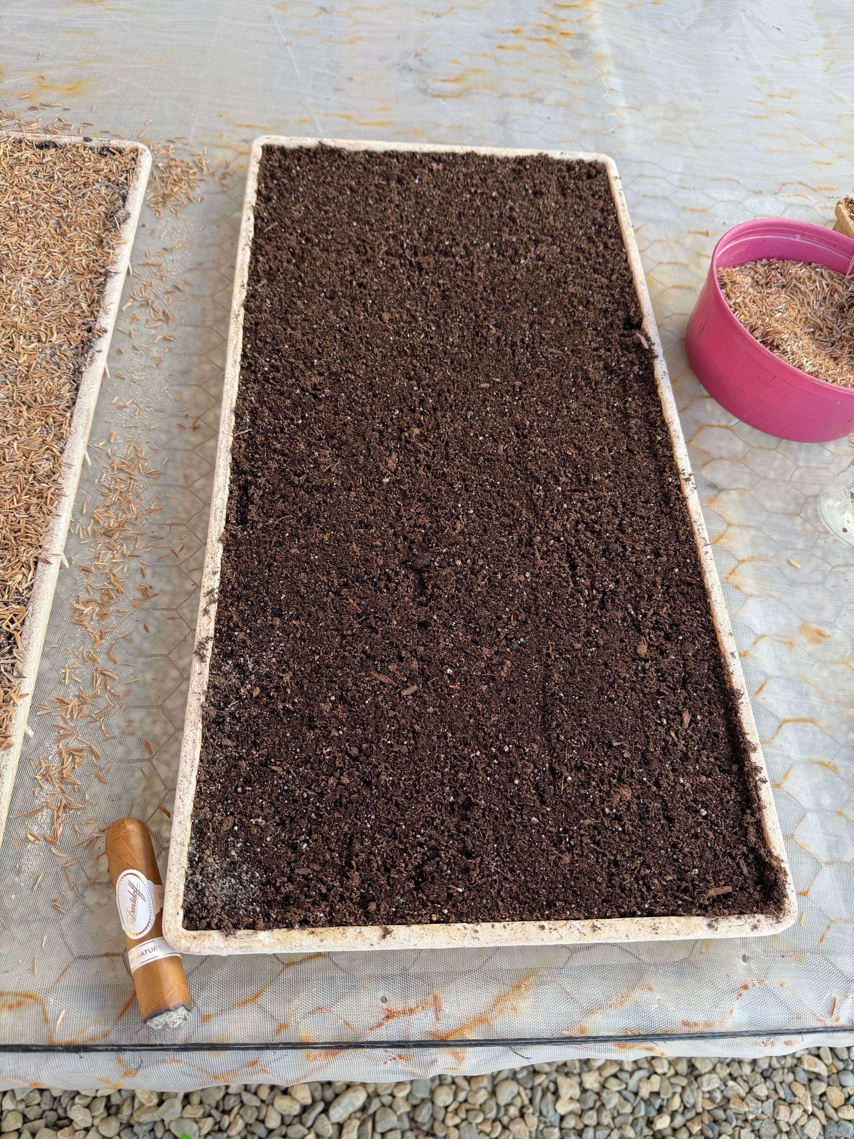 Davidoff Plantation Visit in Villa Clara | ProCigar 2026 - Image 22