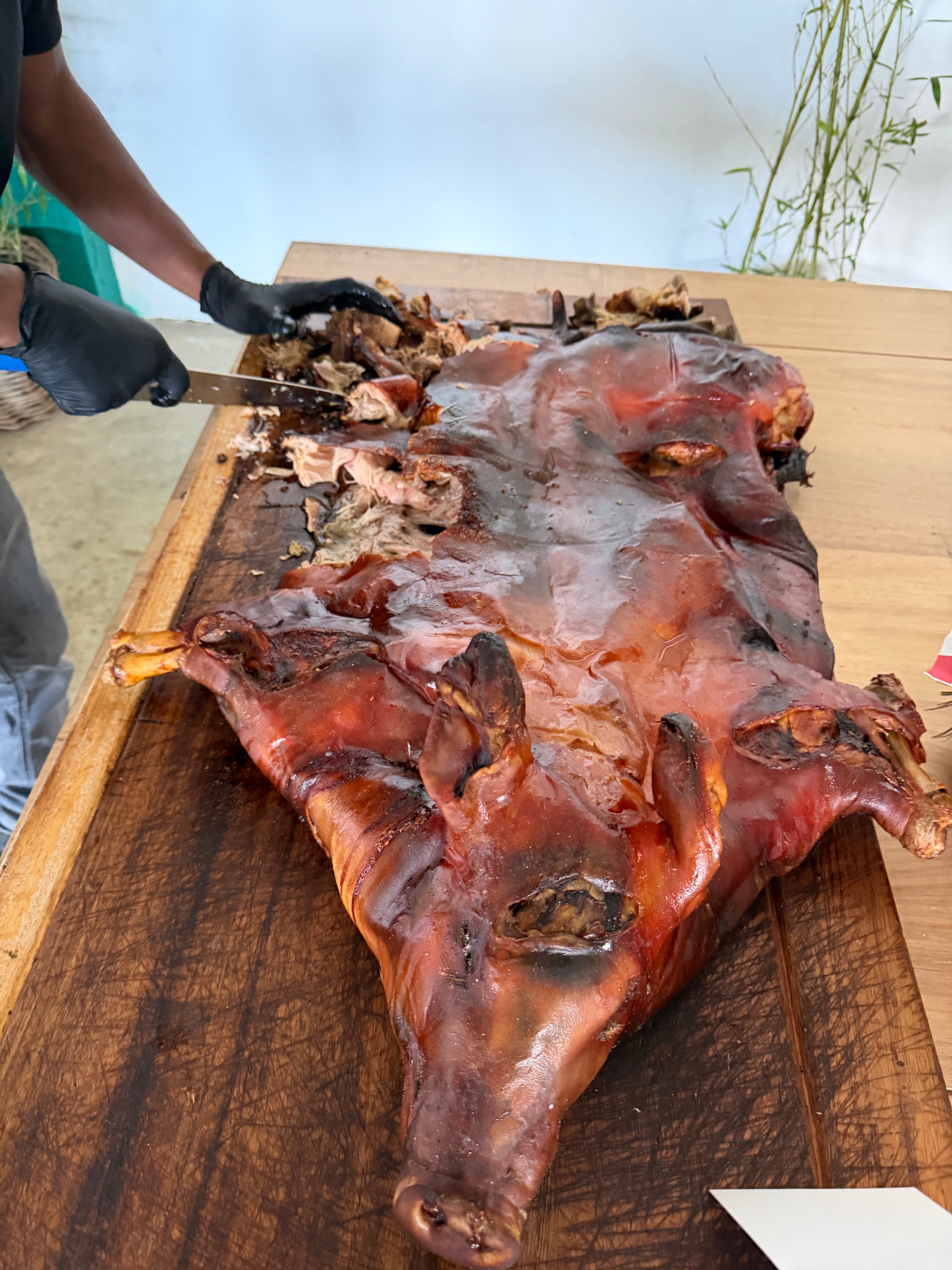 Davidoff Plantation Visit in Villa Clara | ProCigar 2026 - Image 9