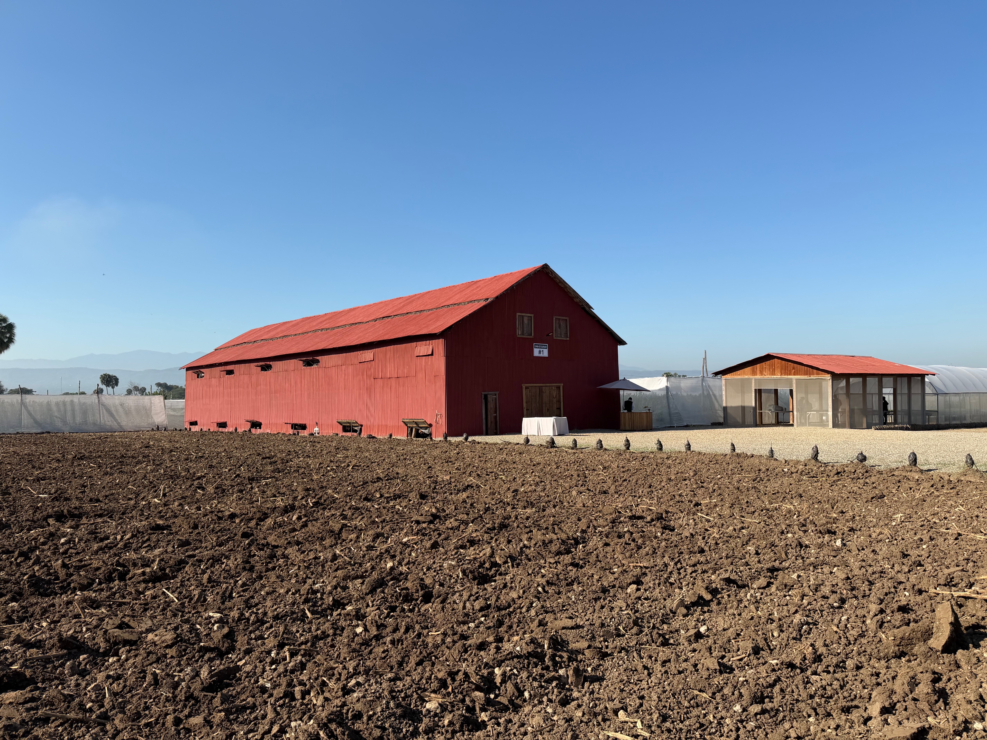 Davidoff Plantation Visit in Villa Clara | ProCigar 2026 - Image 10