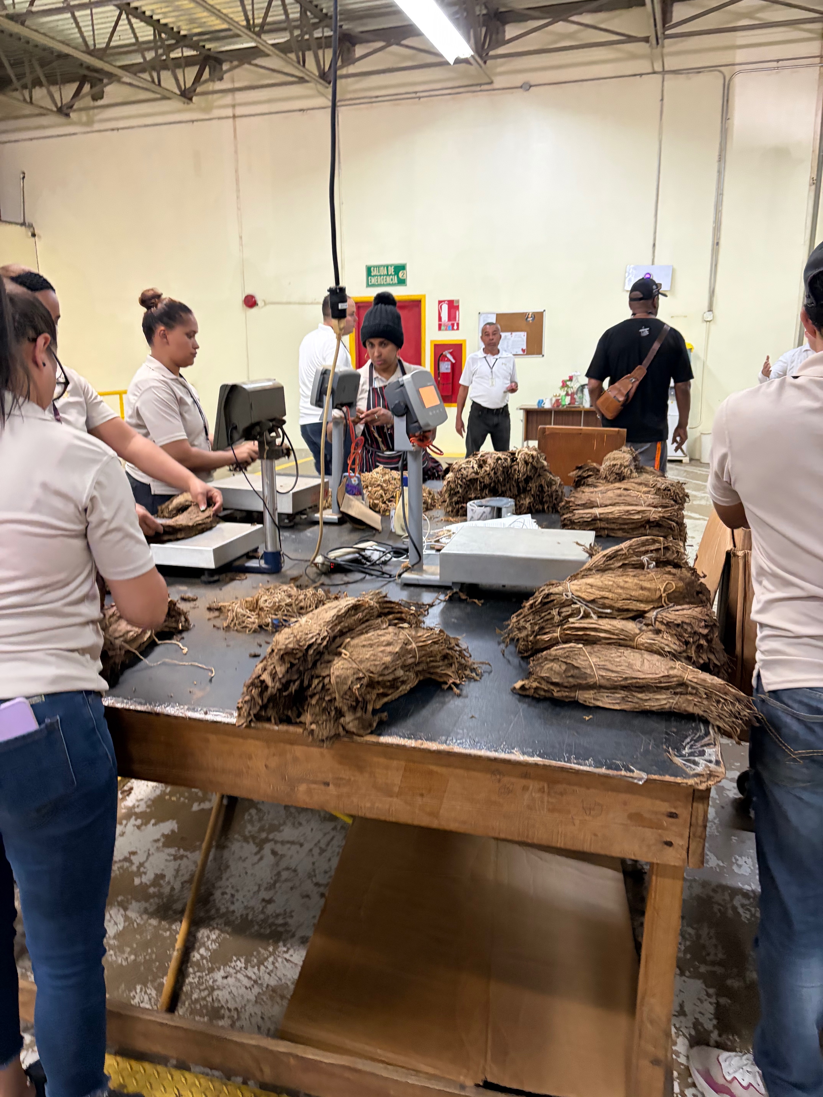 Davidoff Plantation Visit in Villa Clara | ProCigar 2026 - Image 11