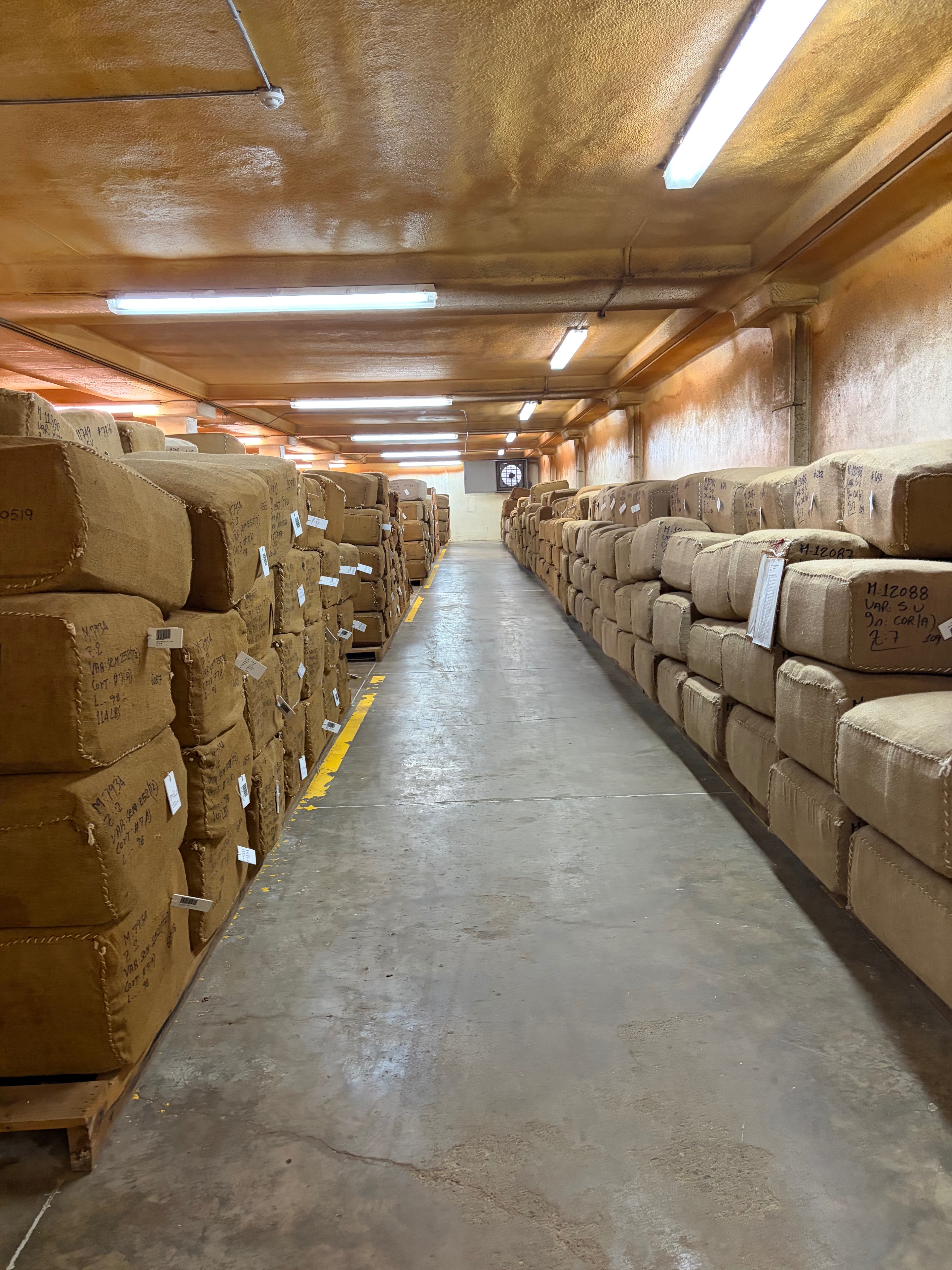 Davidoff Plantation Visit in Villa Clara | ProCigar 2026 - Image 53