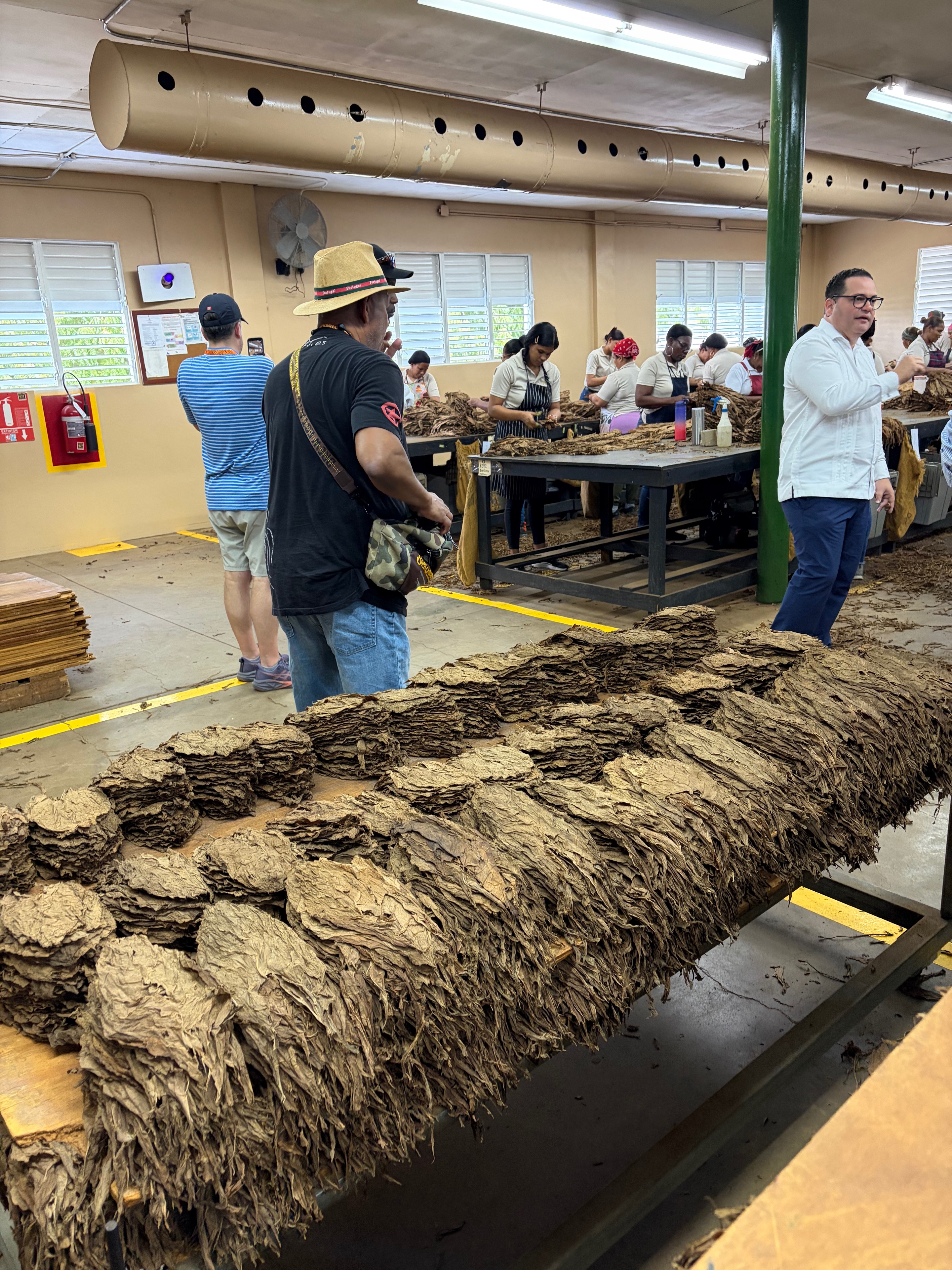 Davidoff Plantation Visit in Villa Clara | ProCigar 2026 - Image 40
