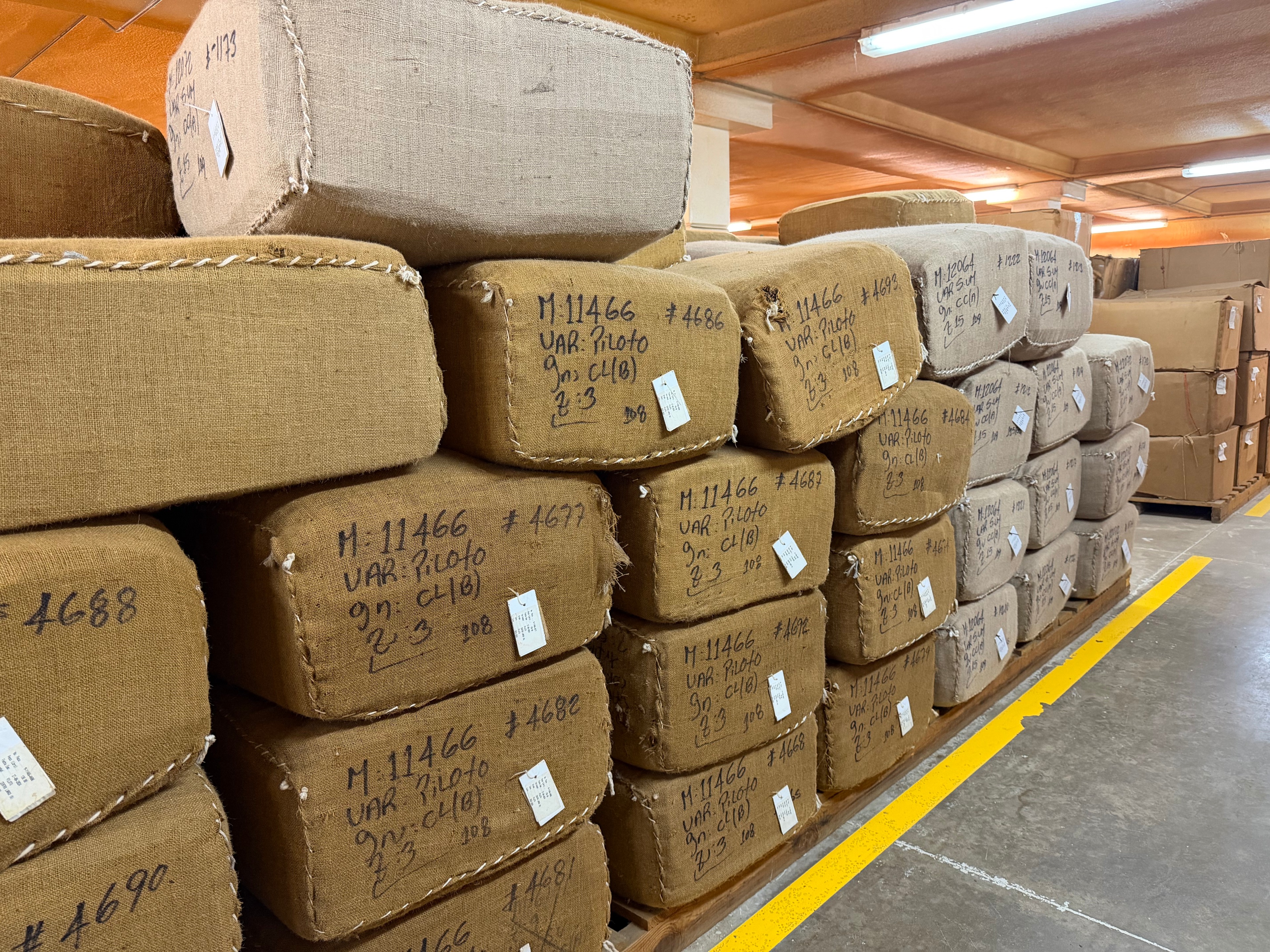 Davidoff Plantation Visit in Villa Clara | ProCigar 2026 - Image 34