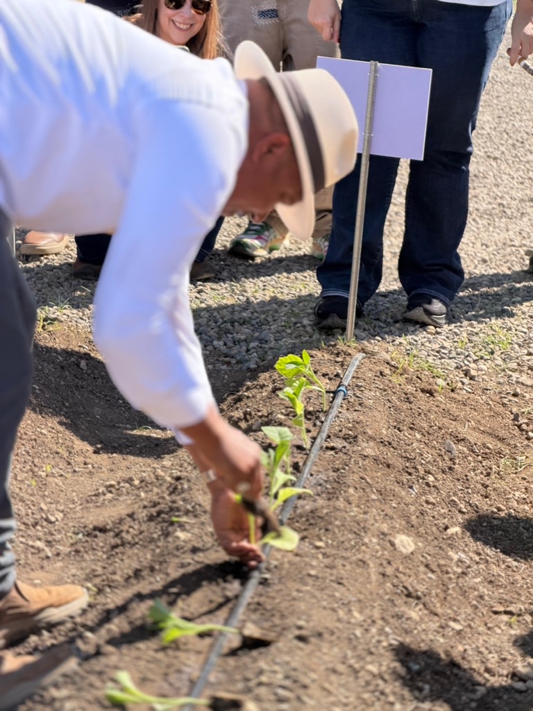 Davidoff Plantation Visit in Villa Clara | ProCigar 2026 - Image 35