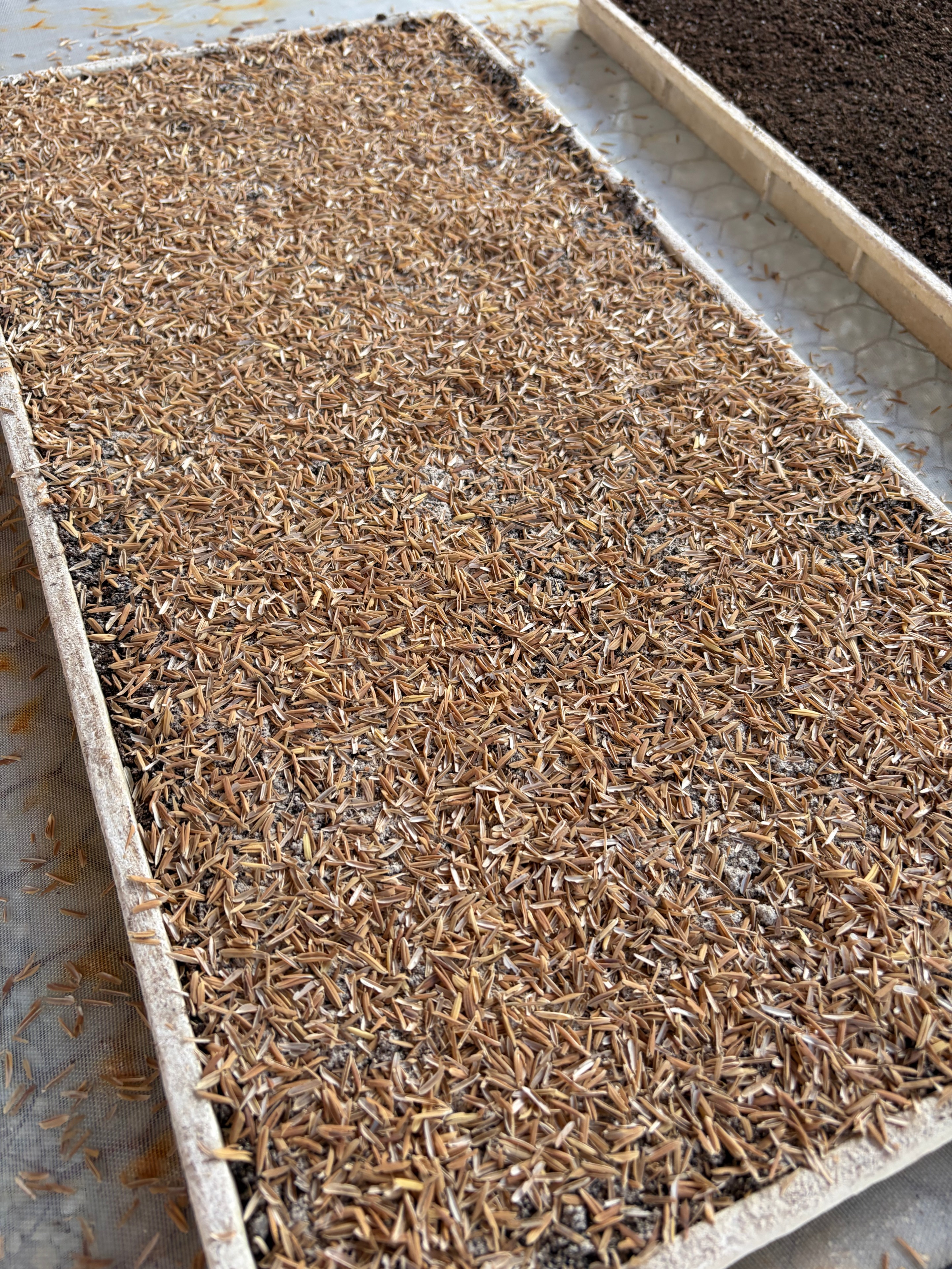 Davidoff Plantation Visit in Villa Clara | ProCigar 2026 - Image 54