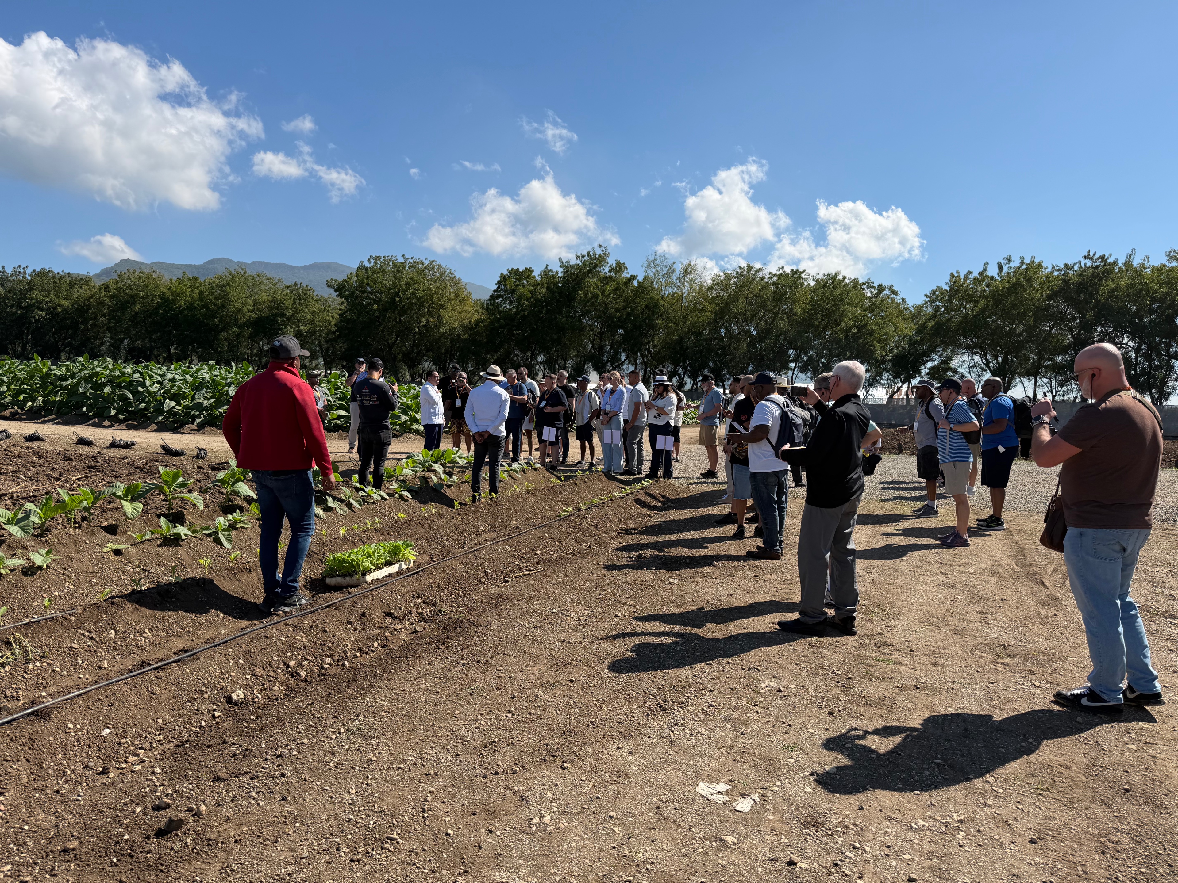 Davidoff Plantation Visit in Villa Clara | ProCigar 2026 - Image 57
