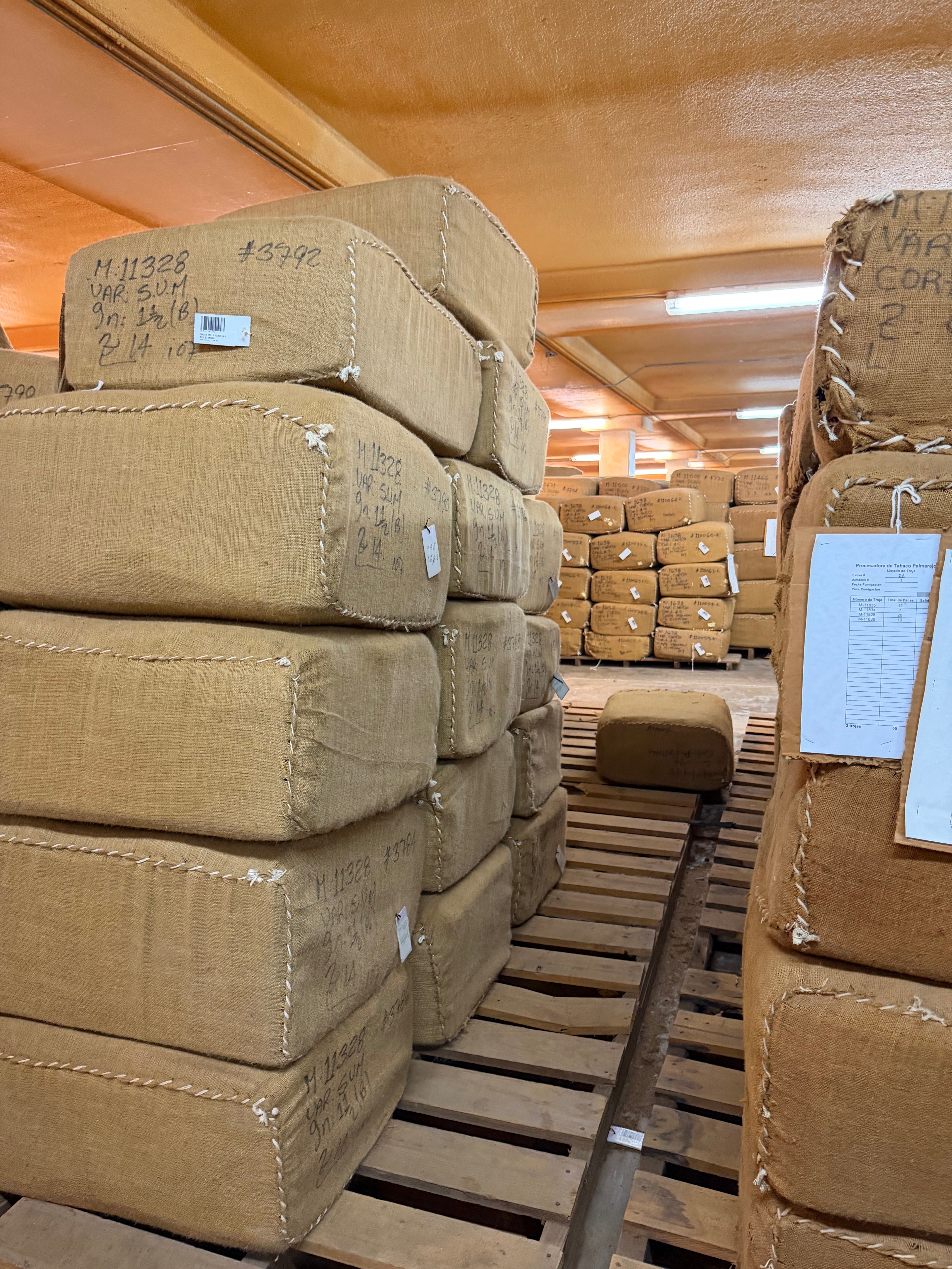 Davidoff Plantation Visit in Villa Clara | ProCigar 2026 - Image 59