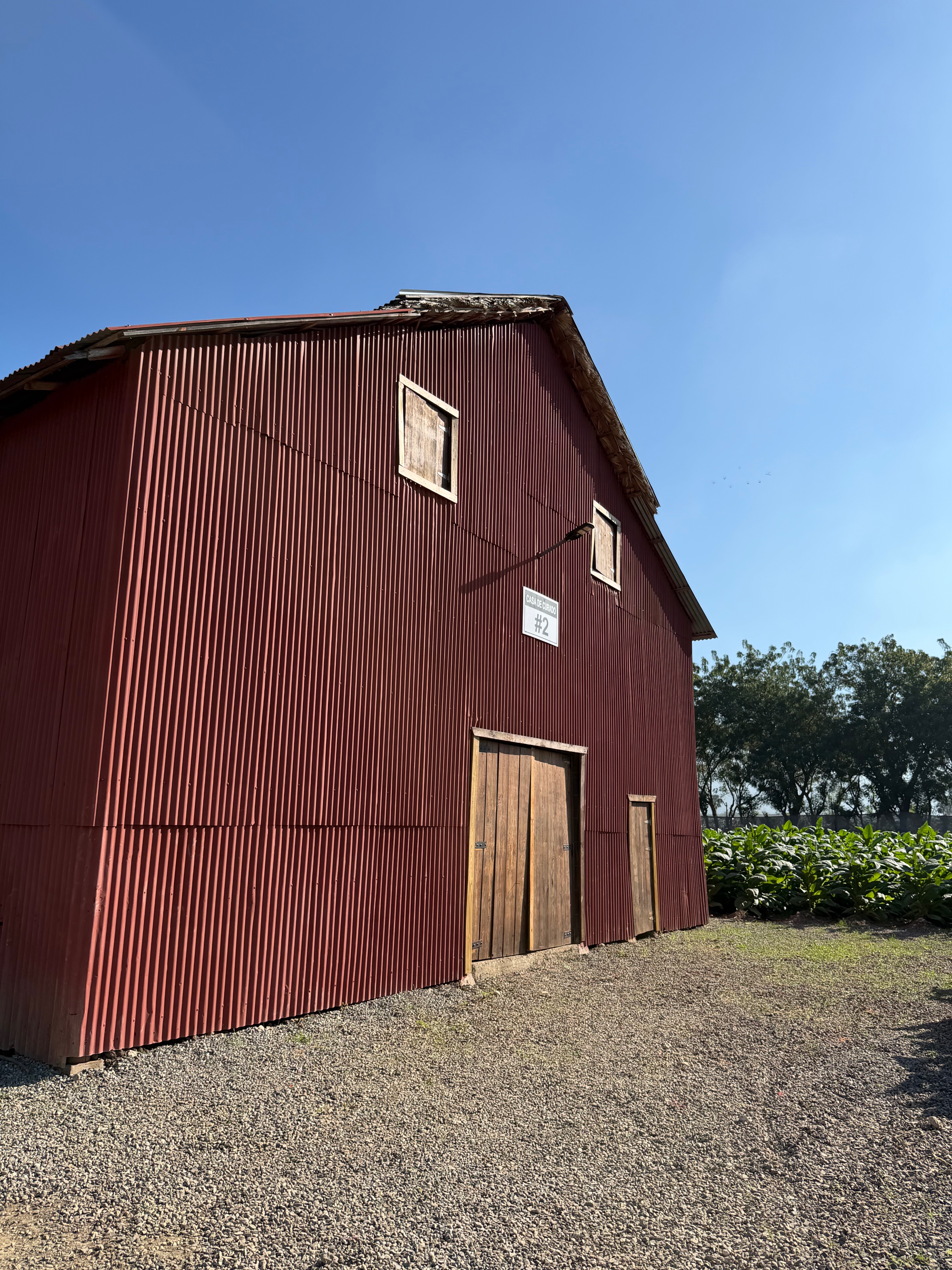 Davidoff Plantation Visit in Villa Clara | ProCigar 2026 - Image 65