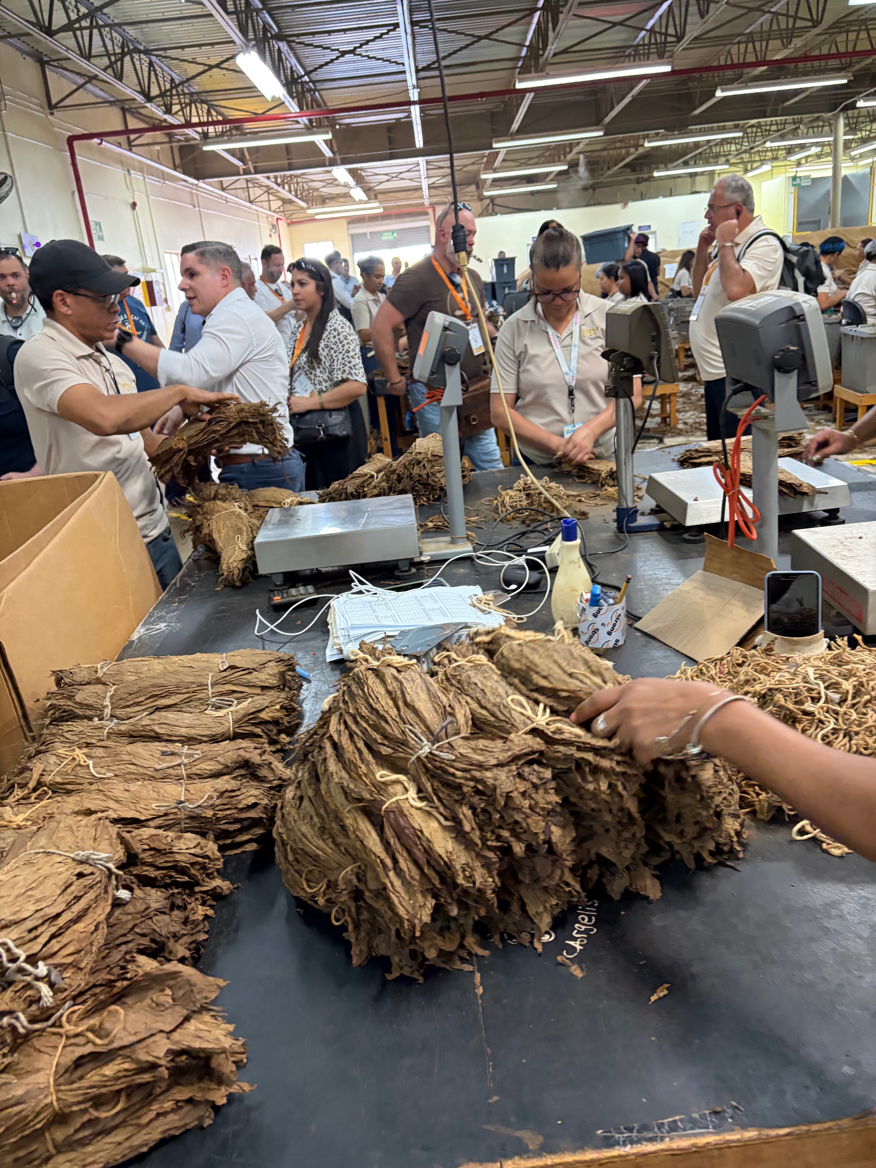 Davidoff Plantation Visit in Villa Clara | ProCigar 2026 - Image 61
