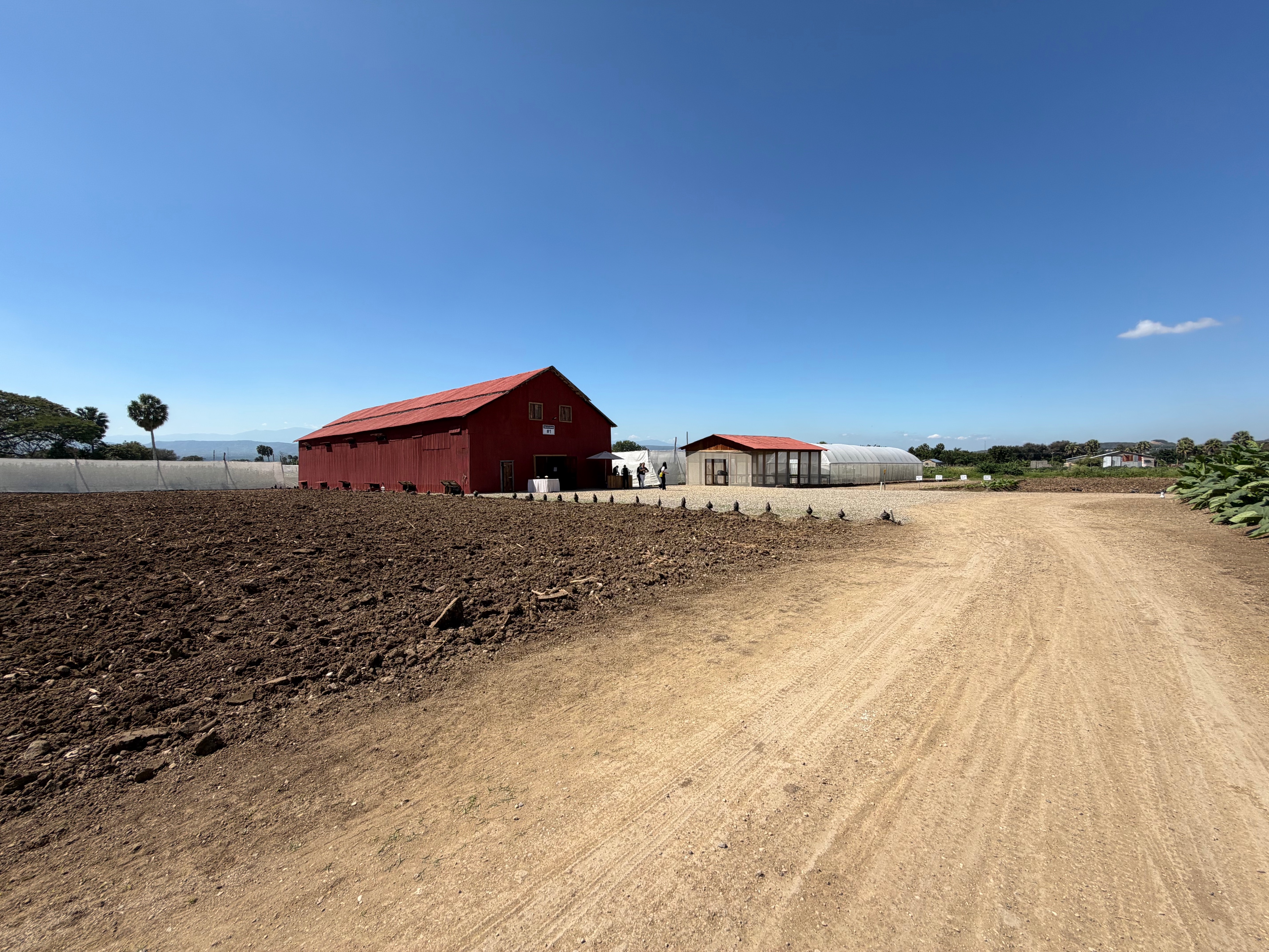 Davidoff Plantation Visit in Villa Clara | ProCigar 2026 - Image 62