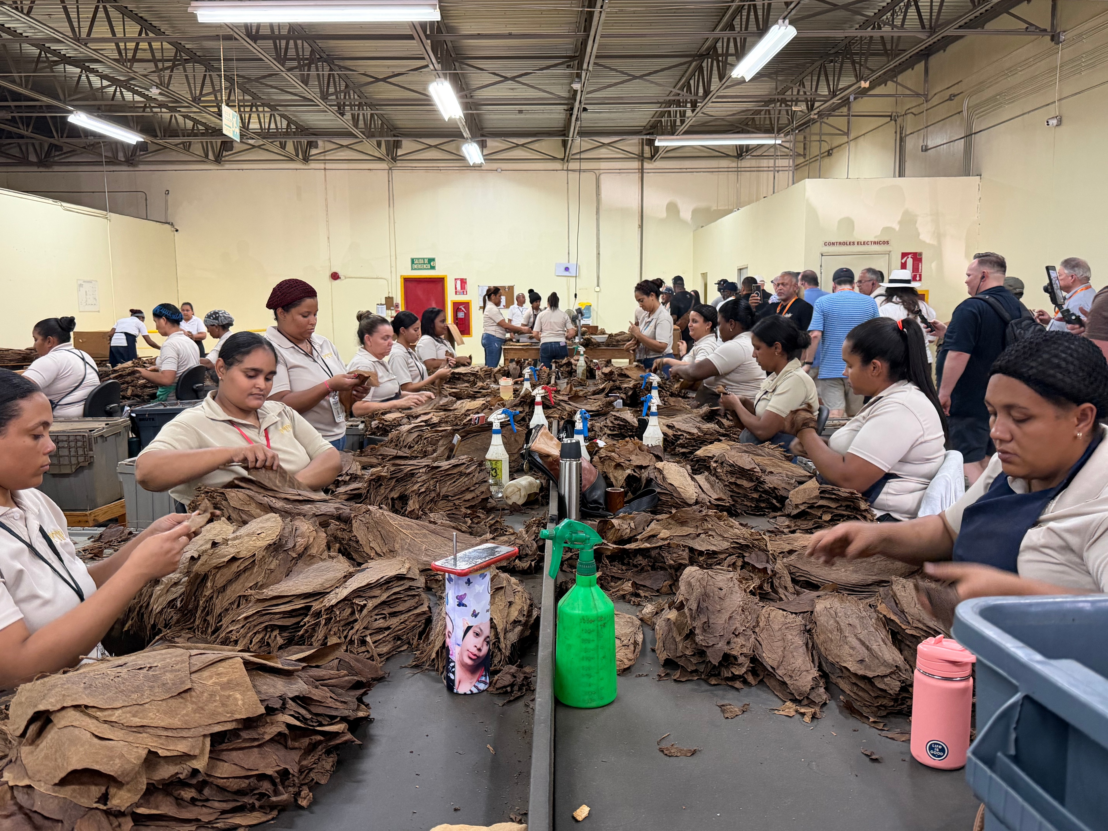 Davidoff Plantation Visit in Villa Clara | ProCigar 2026 - Image 66