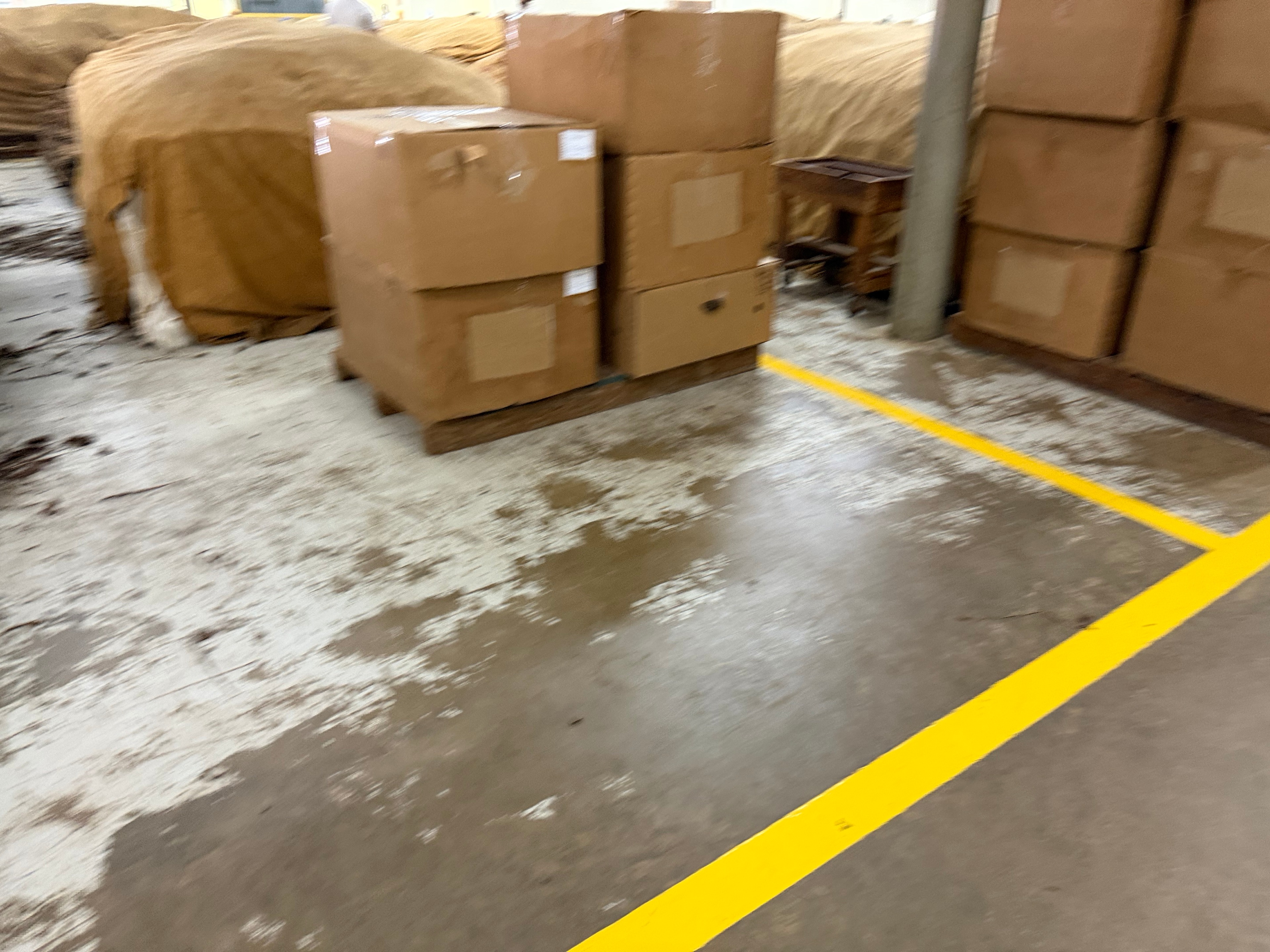 Davidoff Plantation Visit in Villa Clara | ProCigar 2026 - Image 72