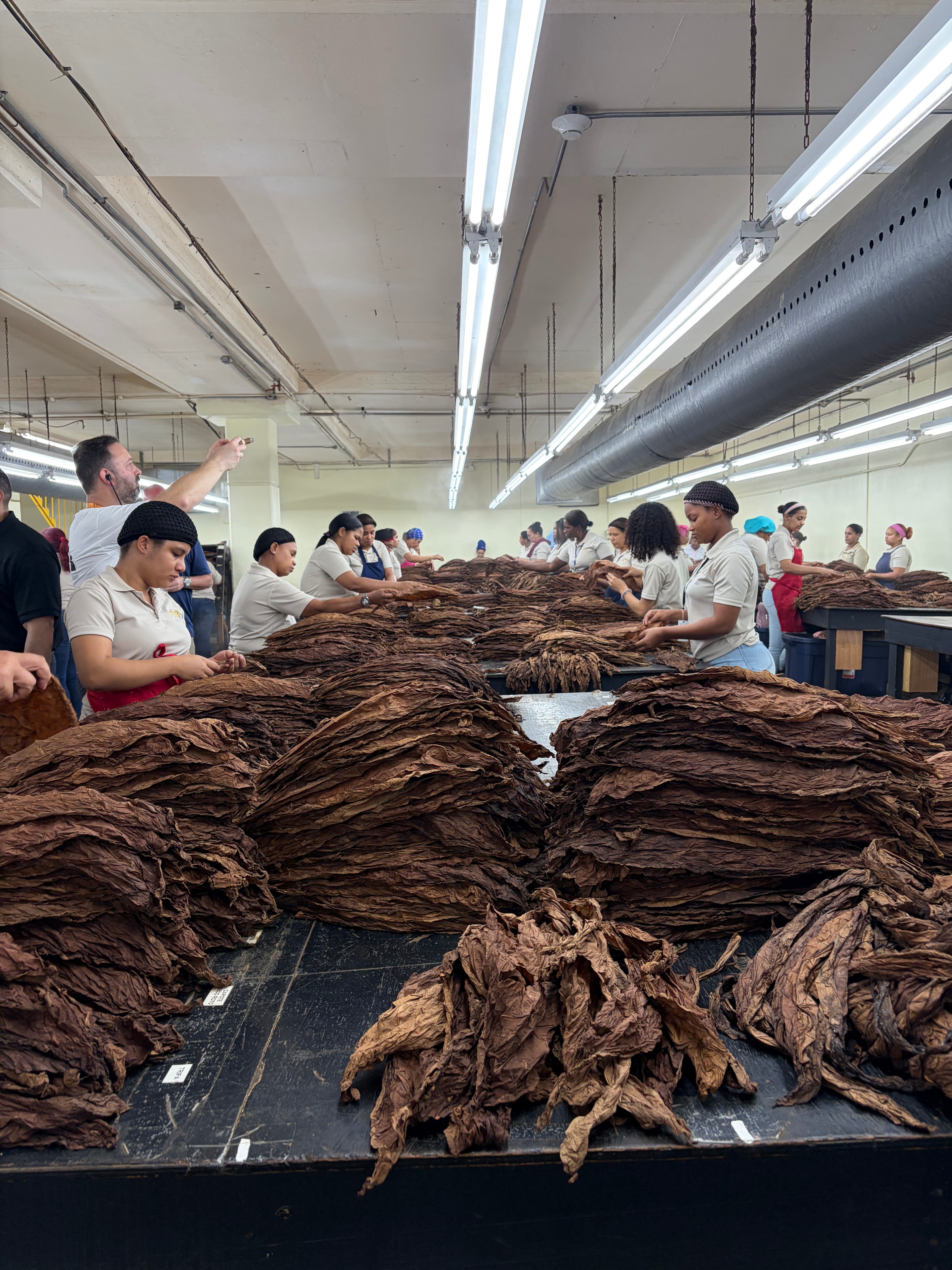 Davidoff Plantation Visit in Villa Clara | ProCigar 2026 - Image 74