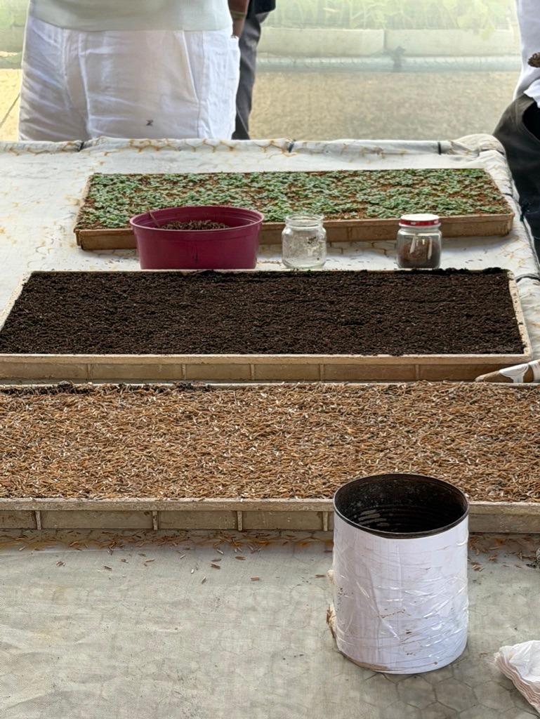 Davidoff Plantation Visit in Villa Clara | ProCigar 2026 - Image 77