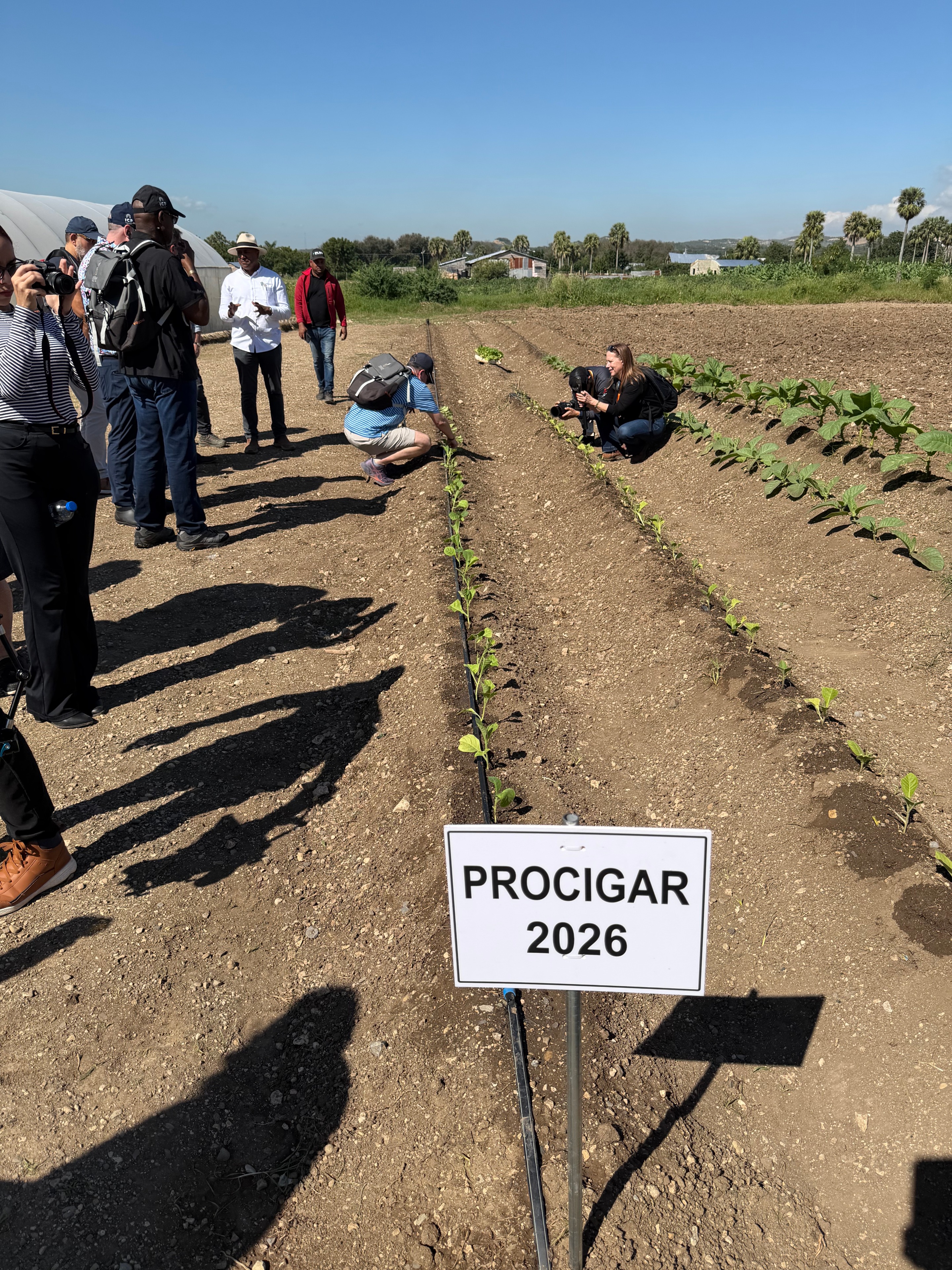 Davidoff Plantation Visit in Villa Clara | ProCigar 2026 - Image 79