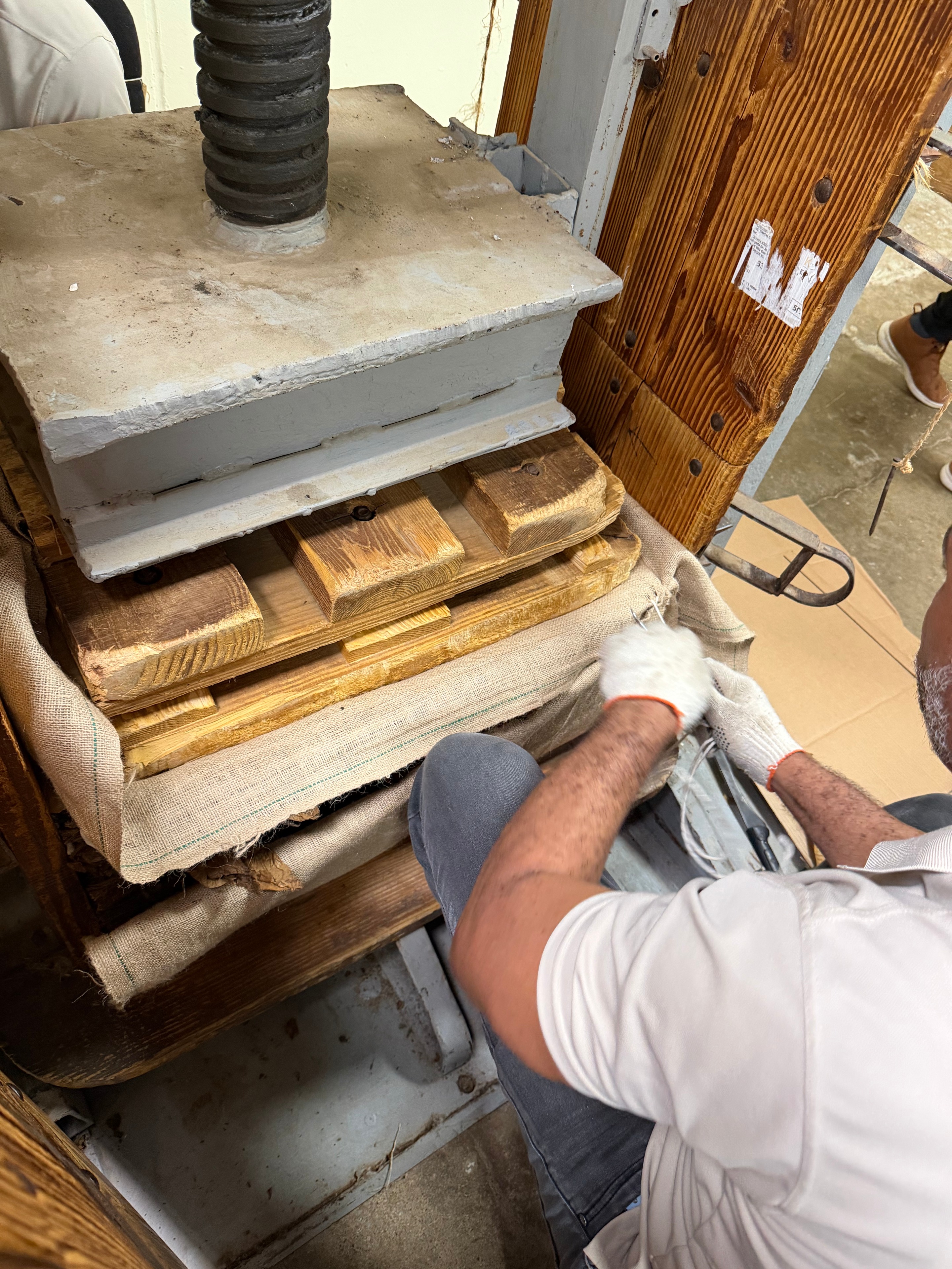 Davidoff Plantation Visit in Villa Clara | ProCigar 2026 - Image 80