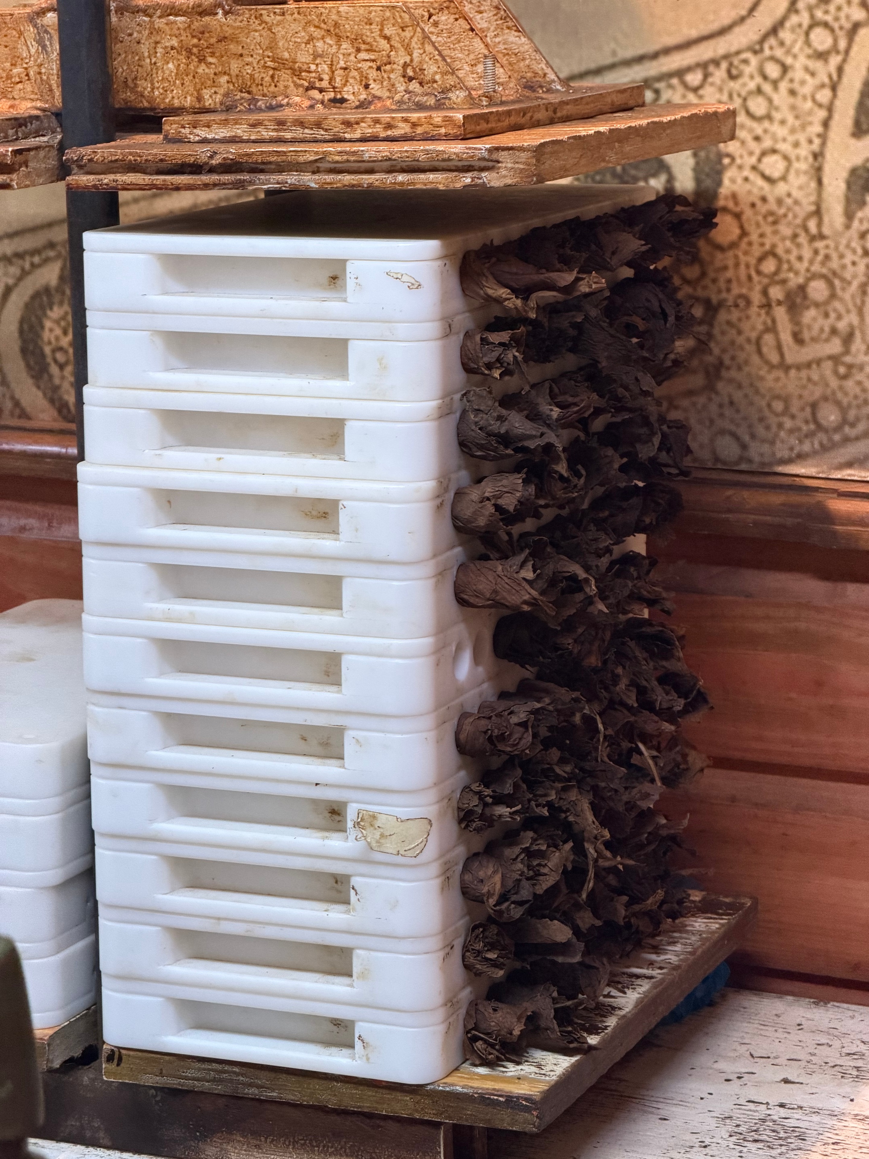 Arturo Fuente Factory Visit | ProCigar 2026 - Image 8