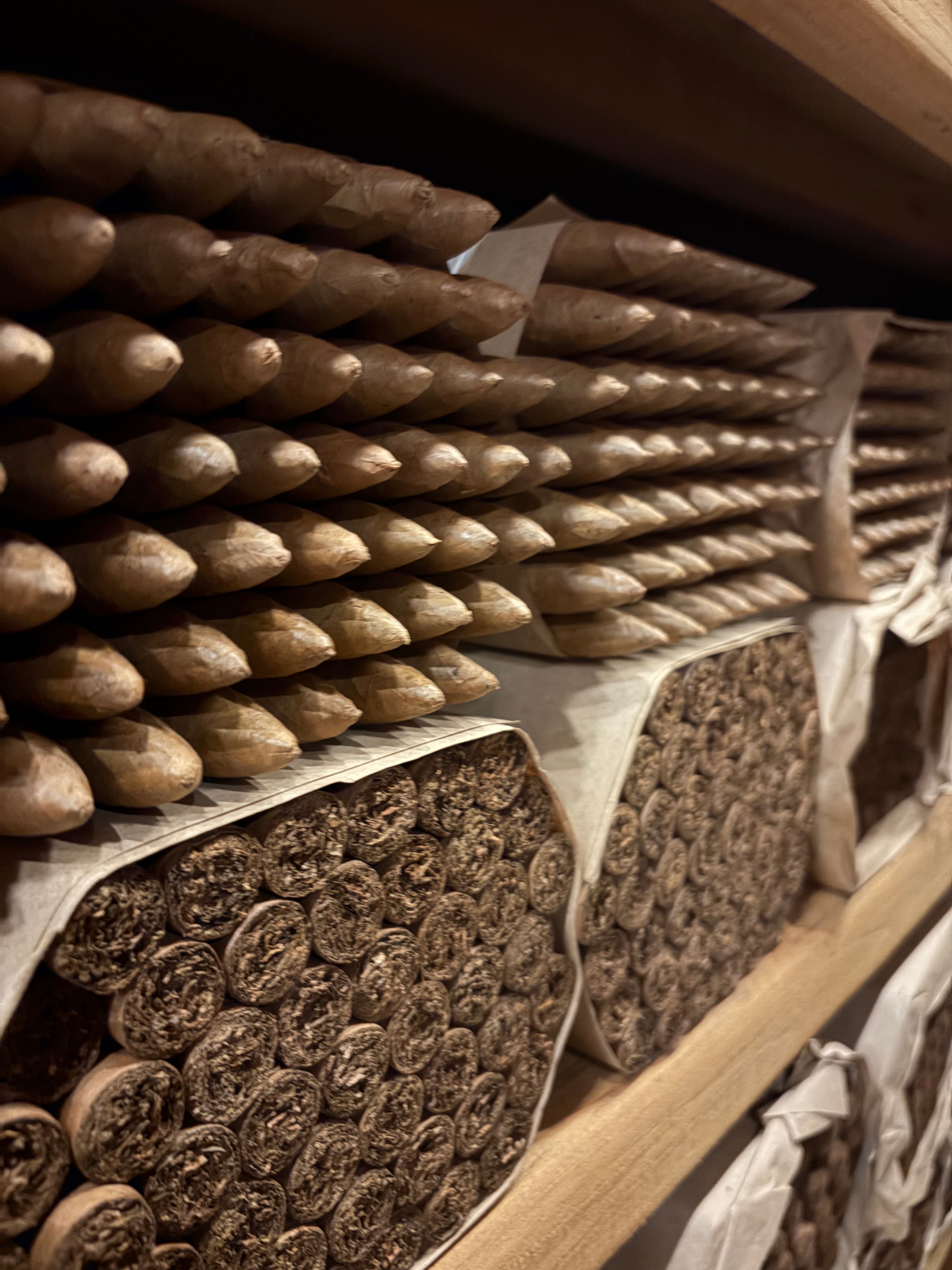 Arturo Fuente Factory Visit | ProCigar 2026 - Image 70